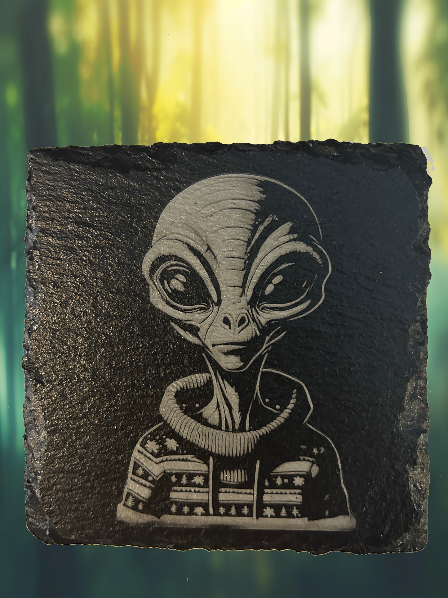 4 Piece Set Alien Themed Slate Rock Coasters