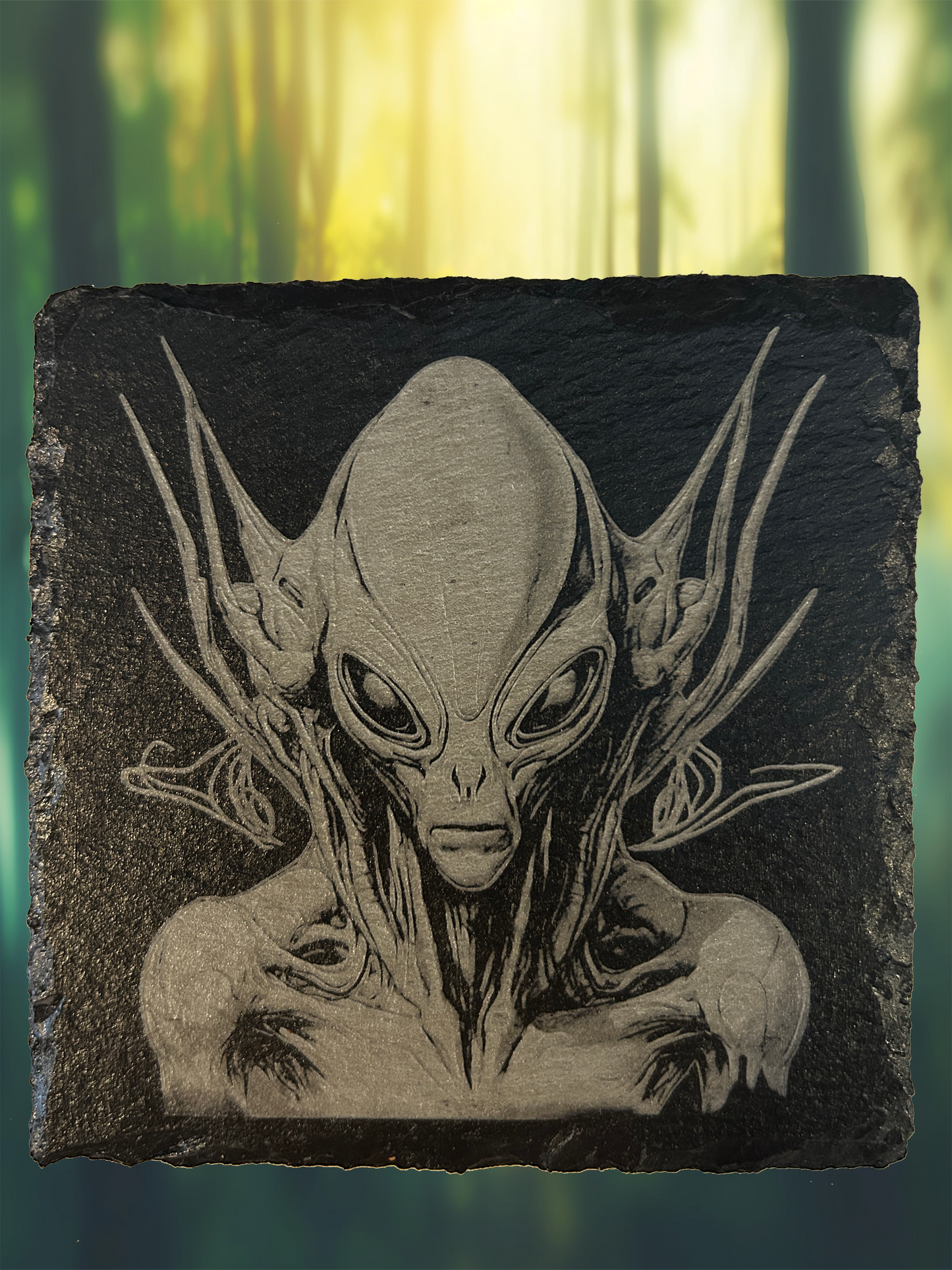 4 Piece Set Alien Themed Slate Rock Coasters