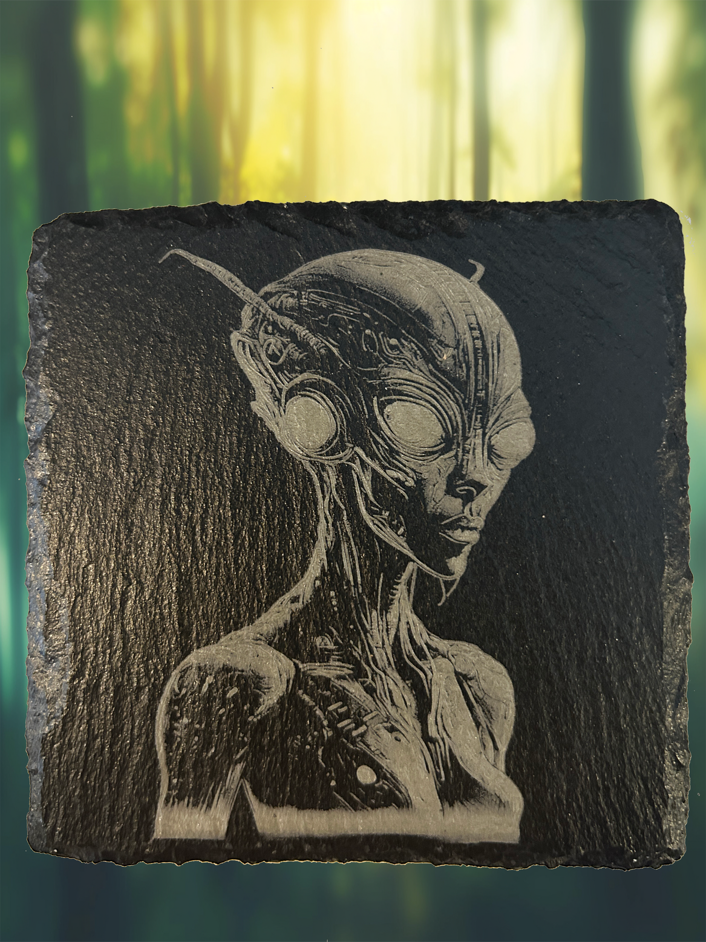 4 Piece Set Alien Themed Slate Rock Coasters