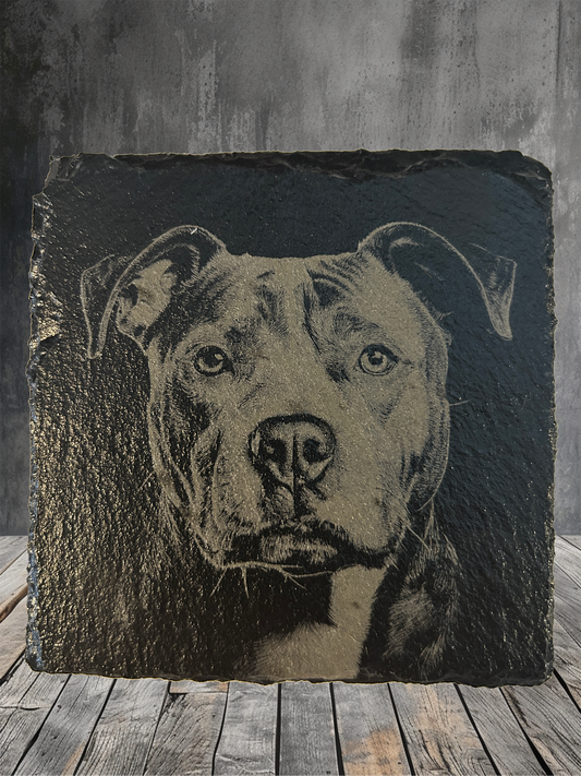4 Piece Set Pitbull Themed Slate Rock Coasters